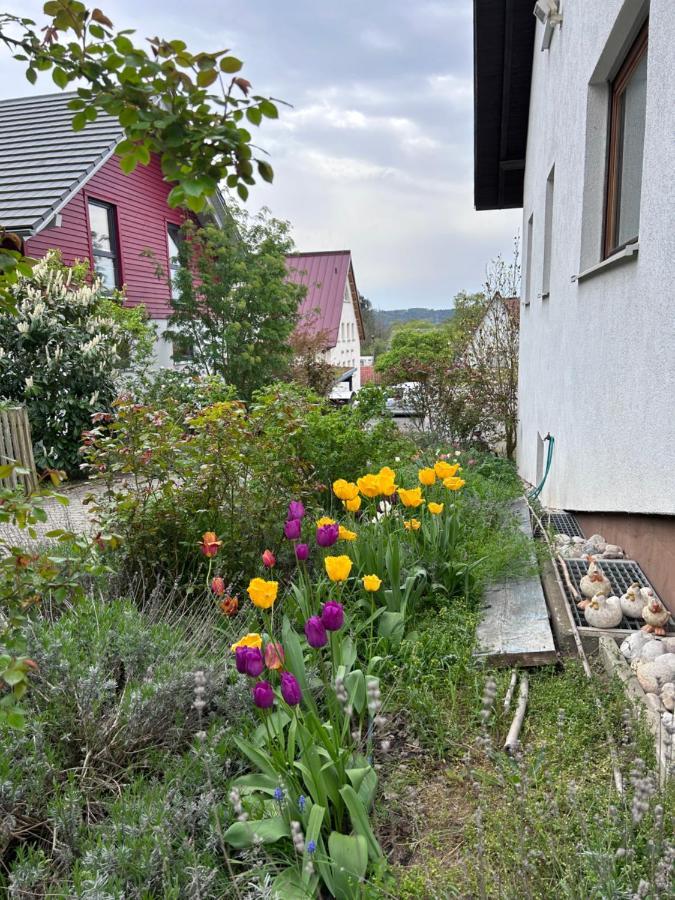 Fewo Michistrasse Forchheim  Zewnętrze zdjęcie